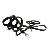 Beeztees BZ LAISSE EN CUIR NOIR 100X20 (Chien, Promenade)