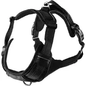 Flamingo Harnais Balou Noir pour chien