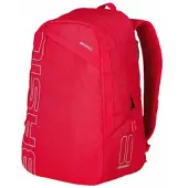 Basil Flex 17l Backpack Rouge