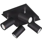 TRIO Spot plafonnier MARLEY noir 802430432