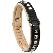 Blokker Giotto C25/49 Blk Luxor Collar