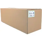 Ricoh Imaging D2960122 Printer Drum Bleu