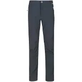 Regatta Geo Softshell Ii Pants Gris 40 / Regular Homme