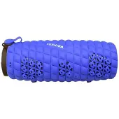 Toshiba Wsp80bl Bluetooth Speaker Bleu
