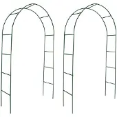 vidaXL Arche de jardin 2 pcs pour plantes grimpantes