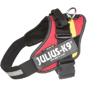 JULIUS K-9 Idc Power Dog Harness Rouge L-1