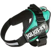 JULIUS K-9 Idc Power Dog Harness Vert 2XL-3