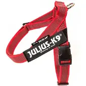 JULIUS K-9 Idc Norwegian Dog Harness Rouge M-0