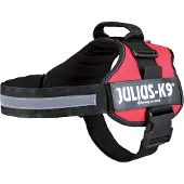 Julius-K9 Powergeschirr, taille 0-3 66-85 cm/50 mm rouge
