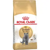 Royal Canin British Shorthair Adult - 10 kg