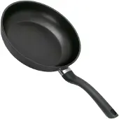 Fissler Cenit Induction Pan Cast Aluminum Skillet 24 Cm Argenté