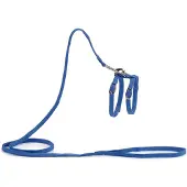 Beeztees Bz Nylon Laisse Pour Chats Bleu 130 (Chat, Général)