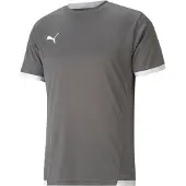 Puma Teamliga Maillot Hommes Manches Courtes - Gris / Blanc