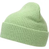 Roxy Island Fox Beanie Vert