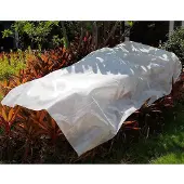 Biotop Tissu de protection des cultures 1,5x5m 30gr/m² jardin