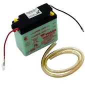 Yuasa 6n4b-2a-3-dc Agm Battery Clair