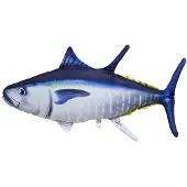 Gaby Coussin The Atlantic Bluefin Tuna Medium