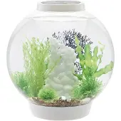 Oase 72007 Acquario biOrb CLASSIC 30 LED blanc 30 l con illuminazione a