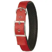 Kerbl Collier Miami Plus (Chien, Général)