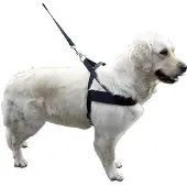 Kerbl Harnais pour chien Miami Plus (100, 80, 85, 90, 95, Chien, Général)