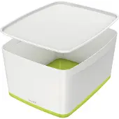 Esselte Boîte de rangement Leitz MyBox Dimensions : 31,8 x 19,8 x 38,5 cm (l x h x p) Matière : plastique ABS Couleur : blanc/vert métallisé