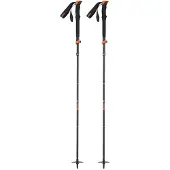 Union - Bâtons télescopiques - Expedition Aluminum Touring Pole en Aluminium - Noir