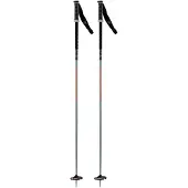 Rossignol Freeride Pro Safety Woman Poles Noir 115 cm Femme