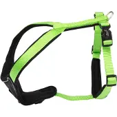 Fressnapf Wolters Harnais Professional Comfort vert/noir 40–45 cm