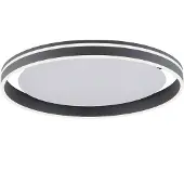 Paul Neuhaus 8416-13 Q-VITO Smart Home Deckenleuchte anthrazit 39 W