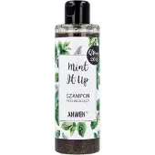 Anwen Shampooing désincrustant à la menthe 200ml