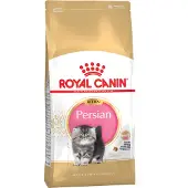 Royal Canin Persian Kitten - 10 kg