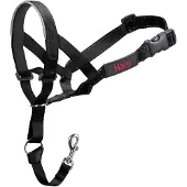 Halti Training Collar Noir 31-40 cm