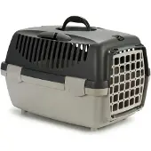 Stefanplast Bac de transport Gris Plastique (47 x 30 x 33 cm)
