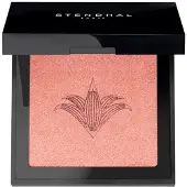 Stendhal Blush 300 Highlighting Blush Rose Femme