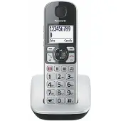 Panasonic Téléphone DECT KX-TGE510JTS avec identification de l'appelant Téléphone argenté