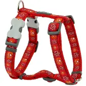Red Dingo Harnais pour chien Style Rouge Empreinte animale 30-48 cm