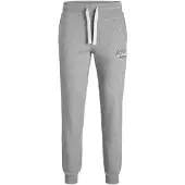 Jack & Jones Gordon Sweat Pants Gris 2XL Homme