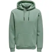 Only & Sons Sweat-shirt 'Ceres' vert clair