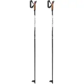 LEKI Xta Base Poles Argenté 125 cm
