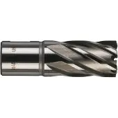 Milwaukee 4932343276 Trépan HSS 14 x 25 mm - Ø 20mm