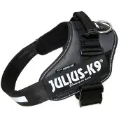 Julius-K9 Idc Power Dog Harness Gris L-1