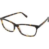 Pierre Cardin Lunettes de Vue P.C. 8482 56/15/145 Havana Acetate WOMAN P.C. 8482