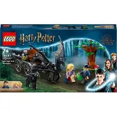LEGO Harry Potter Thestral et Carrosse de Poudlard