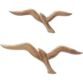 Boltze Seagull