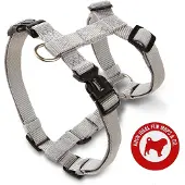 Fressnapf Wolters : Gamme de gamelles professionnelles pour chiens de petite taille, comme les bouledogues français, en argent