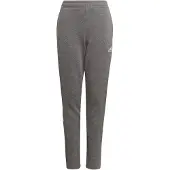 Adidas Tiro 21 Pants Gris 11-12 Years Fille