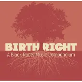 Cd Birthright: A Black Roots Music Compendium