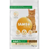 IAMS Cat Adult All Breeds Chicken 10 kg