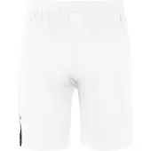 Nike Short Team Spike