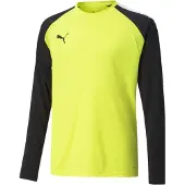 Puma Sweats Teampacer Gk B23743